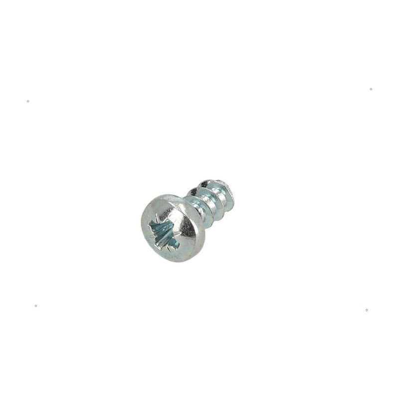 Mounting screw MSM PT 5x10